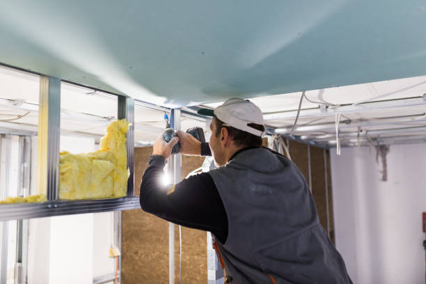 Types of Insulation We Offer in Tilden, NE