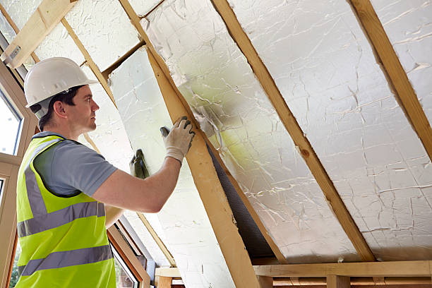 Best Specialized Insulation Services in Tilden, NE